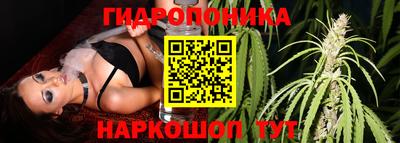 хмурый Заводоуковск