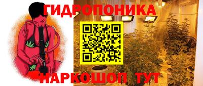 прущие грибы Жуковский