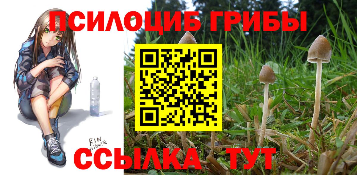 Псилоцибиновые грибы Psilocybine cubensis  Вход с VPN  Майский  даркнет сайт  Псилоцибиновые грибы ЛСД 