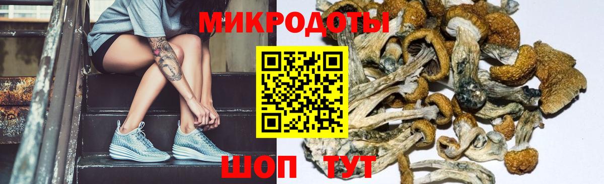 Галлюциногенные грибы Psilocybine cubensis Майский